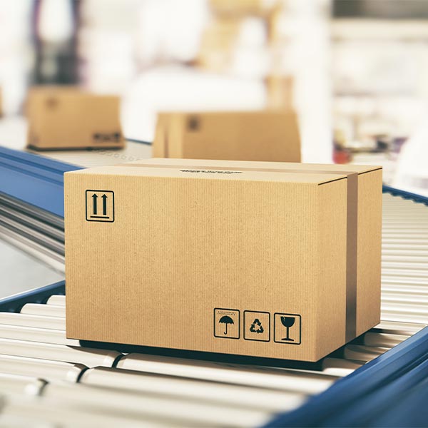 Bodrum Spice Citric Acid Fine 4.5kg